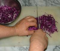 picture of shredded cabbage